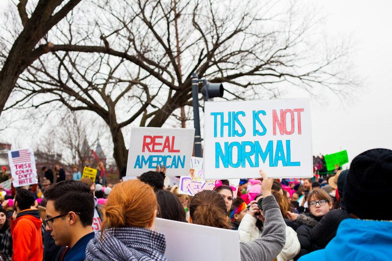 Illustration for article titled WOMEN'S MARCH ON WASHINGTON : THE SIGNS